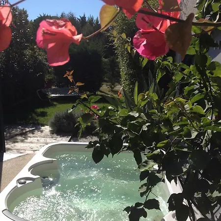 Nocleg ze śniadaniem D'hotes Deluxe Jacuzzi Mas De L'etoile Aigues-Mortes